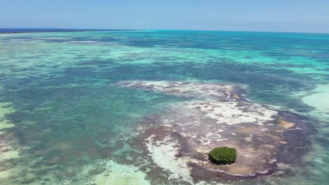 A-vibrant-coral-reef-near-los-roques-with-clear-turquoise-waters-and-a-single-green-island,-aerial-view