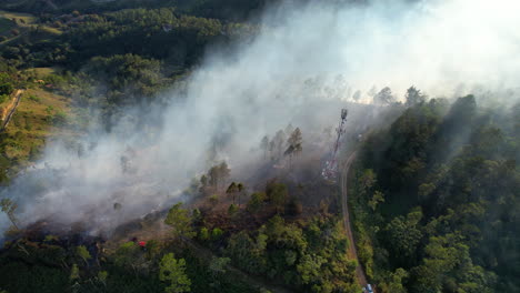Aufsteigender-Rauch-Eines-Regenwaldbrandes-Im-Dschungel-Einer-Tropischen-Insel
