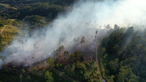 Humo-Creciente-Del-Incendio-De-La-Selva-Tropical-En-La-Selva-De-La-Isla-Tropical