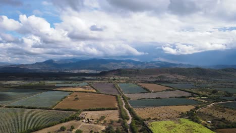 Hermosos-Campos-De-Cultivo-Que-Forman-Patrones,-San-Pedro-Lagunillas,-Nayarit,-México.