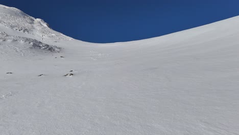 Weite-Schneelandschaft-Mit-Bucegi-Gebirge-Im-Hintergrund,-Klarer-Blauer-Himmel,-Keine-Menschen