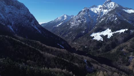 Luftaufnahme-Eines-Kiefernwaldes-Mit-Schneebedeckten-Bergen-Im-Hintergrund-An-Einem-Wunderschönen-Sonnigen-Tag-Mit-Klarem-Blauen-Himmel