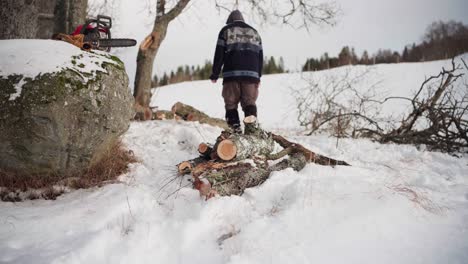 Man-Piling-Up-Cut-Logs-In-The-Snowy-Ground