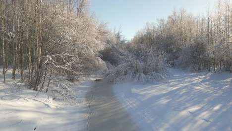 aerial-view-of-frozen-creek-with-trees-surrounding-it