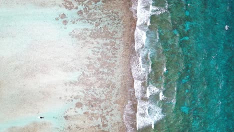 Aerial-tilt-up-view-of-Los-Roques-coral-barrier,-blue-sea-meeting-sandy-shore