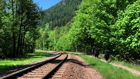 4-hikers-with-large-crash-pads-walk-along-a-dirt-path-next-to-a-railroad-in-the-forest-in-summer