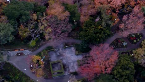 A-colorful-autumn-park-at-dusk,-leaves-in-shades-of-orange-and-red,-aerial-view