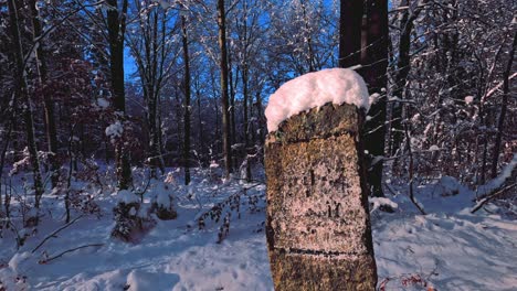 Close-up-panning-shot-of-a-small-stone-obelisk-that-is-standing-alone-in-a-snowy-forest-with-a-snow-hat,-the-text-on-it-is-unreadable