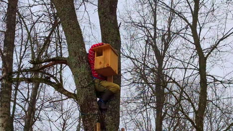 Skilled-arborist-tree-climber-assembles-and-sets-birdhouse-up-in-tree-in-forest-at-winter