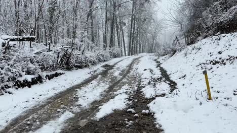 Lokale-Zufahrtsstraße-Landwirtschaftsweg-In-Der-Wintersaison-Starker-Schneefall-In-Waldstadt-Im-Iran