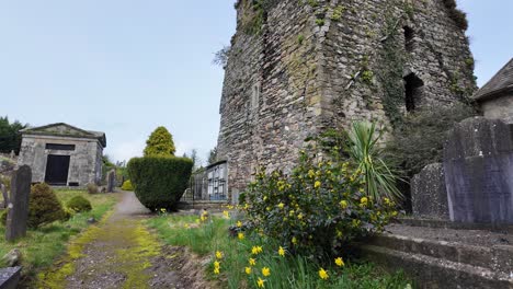 Old-Irish-graveyard-on-a-spring-morning-with-castle-ruins-and-Cript