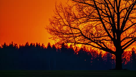Timelapse-of-the-red-sun-declining-behind-silhouette-countryside-forest