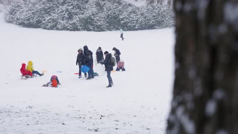Kinder-Rodeln-Im-Winterwunderland,-Während-Im-Park-Schneeflocken-Fallen---Woluwe-Saint-Pierre,-Belgien---Zeitlupe