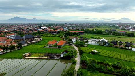 Drone-flying-over-rice-fields-in-Indonesian-Canggu-village,-Bali