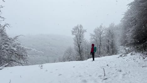 person-looking-at-heavy-snow-in-forest-mountain-hills-the-wide-view-of-winter-landscape-in-Hyrcanian-forest-in-snowfall-adventure-hiking-trekking-sport-wonderful-travel-in-winter-season-in-Iran