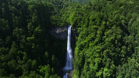 The-tilt-reveal-shot-of-Nachi-waterfall,-the-biggest-in-Japan