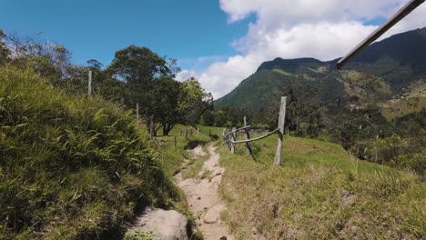 POV-shot-walking-on-a-trail,-Hiking-through-the-Cocora-Valley,-in-sunny-Colombia