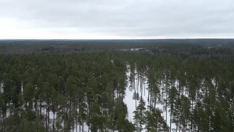 An-aerial-view-of-a-forest-rural-landscape-on-a-winter-day-in-Estonia,-Northern-Europe