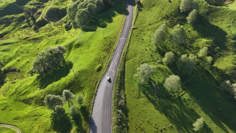 White-van-driving-between-green-country-side-in-New-Zealand-on-a-suny-day