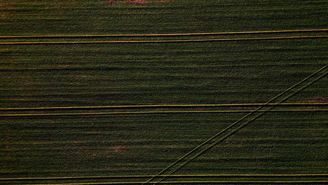 Aerial-drone-bird's-eye-view-over