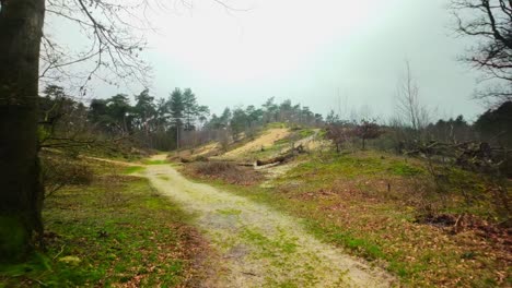 Sand-path-in-abandoned-forest-with-moss-covered-sand-dune-in-Limburg-landscape