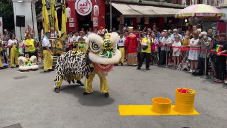 Menschen-Drängelten-Sich,-Um-Sich-Die-Straßenlöwentanzvorführung-In-Chinatown,-Singapur-Anzusehen