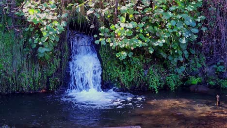 Süßwasser-Wasserfall,-Umgeben-Von-Vegetation-In-Leuchtend-Grünen-Farben