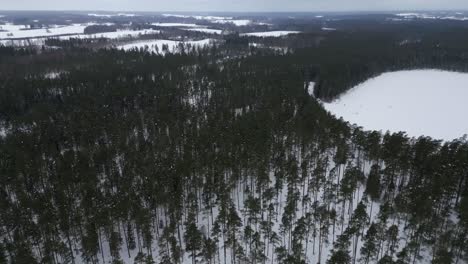 Drone-video-of-winter-forest-with-a-lot-of-snow