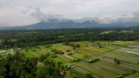 Stunning-landscape-that-symbolizes-Bali’s-agricultural-heritage.-Aerial