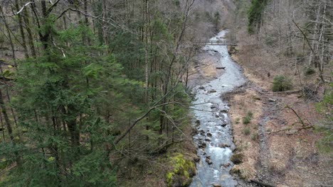 Drone-static-establishing-view-of-fallen-trees-above-flowing-river-with-bridge-in-distance