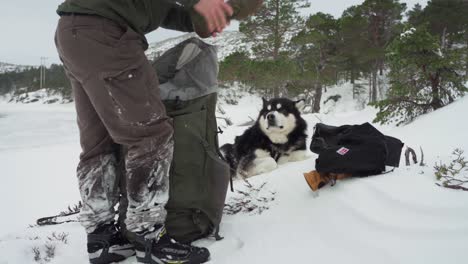 Der-Mann,-Mit-Seinem-Hund-An-Seiner-Seite,-Packt-Im-Winter-In-Bessaker,-Provinz-Trondelag,-Norwegen,-Zusätzliche-Kleidung-Und-Schuhe-Aus-Seiner-Tasche-Aus-–-Nahaufnahme