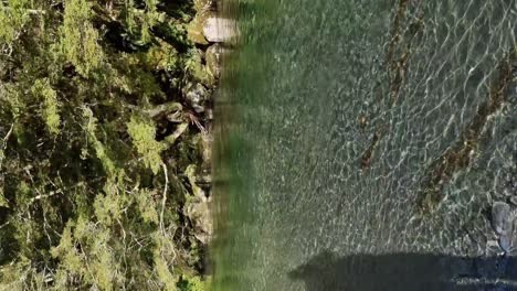 Vertical-De-Un-Río-Cristalino-Alimentado-Por-Glaciares-Rodeado-De-Selva-Nativa-En-La-Costa-Oeste-De-Haast,-Nueva-Zelanda