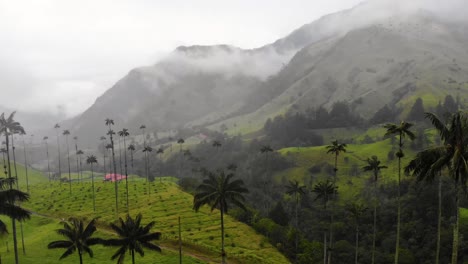 Famous-Cocora-Valley-in-Colombia-with-its-tall-Wax-Palm-Tree,-travel-destination