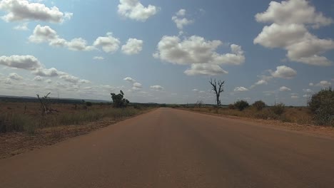 Punto-De-Vista-De-Un-Vehículo-Conduciendo-Por-Un-Camino-De-Tierra-En-El-Parque-Nacional-Kruger.