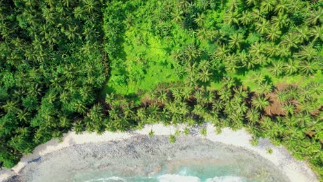 Bird's-eye-view-of-the-magnificent-São-Tome-south-coast-surronded-by-the-luxury-forest-and-a-beach-with-turquoise-sea-and-waves-breaking,West-Africa