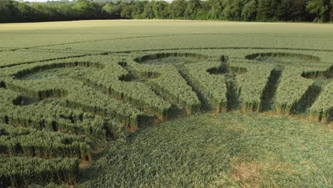 üppige-Grüne-Ernte-Bildung-Auf-Bauernhof-Feld-In-Owslebury,-Hampshire,-Großbritannien