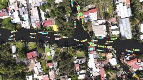 Time-slows-down-in-Xochimilco,-trajineras-sail-serenely-through-the-vibrant-canals,-CDMX