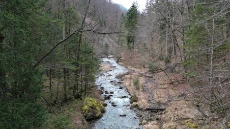 Wasser-Fließt-Rollend-Und-Plätschernd-Flussabwärts-In-Einem-Fluss,-Der-Von-Kahlen-Bäumen-Gesäumt-Ist,-Statisch