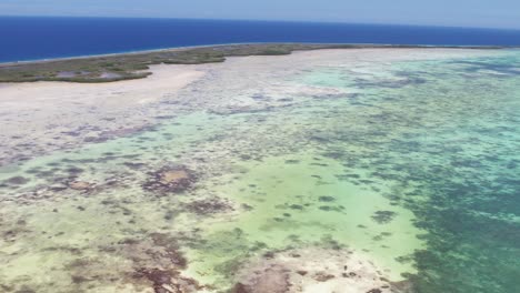Ein-Lebendiges-Korallenriff-In-Der-Nähe-Einer-Tropischen-Insel-Mit-Kristallklarem-Wasser,-Luftaufnahme