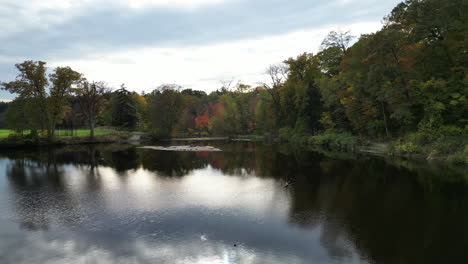 Pond-Surrounded-By-Autumn-Foliage-At-Nature-Park-At-Dusk