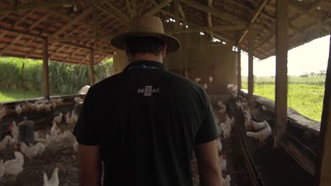 a-farm-working-man-walking-inside-a-hen-house-of-happy-free-range-chicken---Brazil