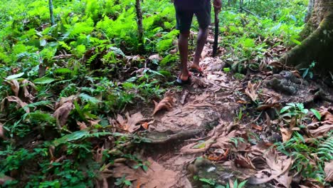 Blick-Auf-Einen-Afrikanischen-Mann-Zu-Fuß-In-Den-Wald-Mit-Einer-Machete-In-Der-Hand,-Sao-Tome,-Afrika