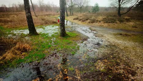 Flooded-country-roads-in-a-winter-park-with-heather,-puddles-of-mud-and-trees