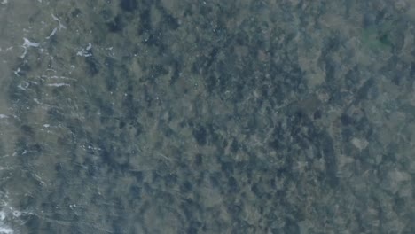 Top-down-descending-drone-shot-over-dead-coral-reef-under-shallow-water-in-tropical-Balangan-Beach-Uluwatu-Bali-Indonesia