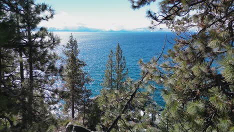 Luftaufnahme-Durch-Bäume-Auf-Das-Wasser-Des-Lake-Tahoe