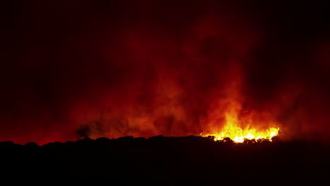 Burning-forest-fire-woodland-timelapse