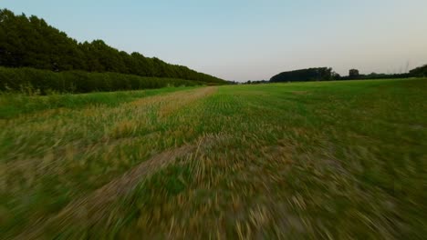 FPV-drone-flying-at-high-speed-over-wide-fields-and-green-meadows-at-sunset