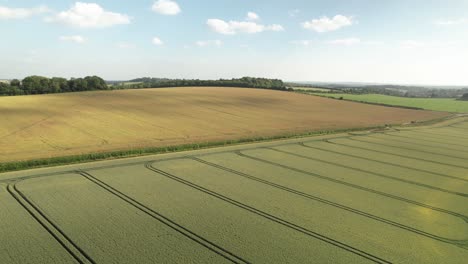 Backwards-drone-dolly-reveals-mysterious-crop-circle-design-in-green-farm-field