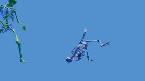 Esqueleto-Bailando-Y-Tocando-La-Guitarra