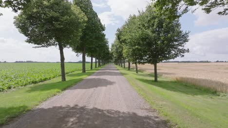 Unbefestigte-Straße-Zwischen-Den-Bäumen-Im-Sommer